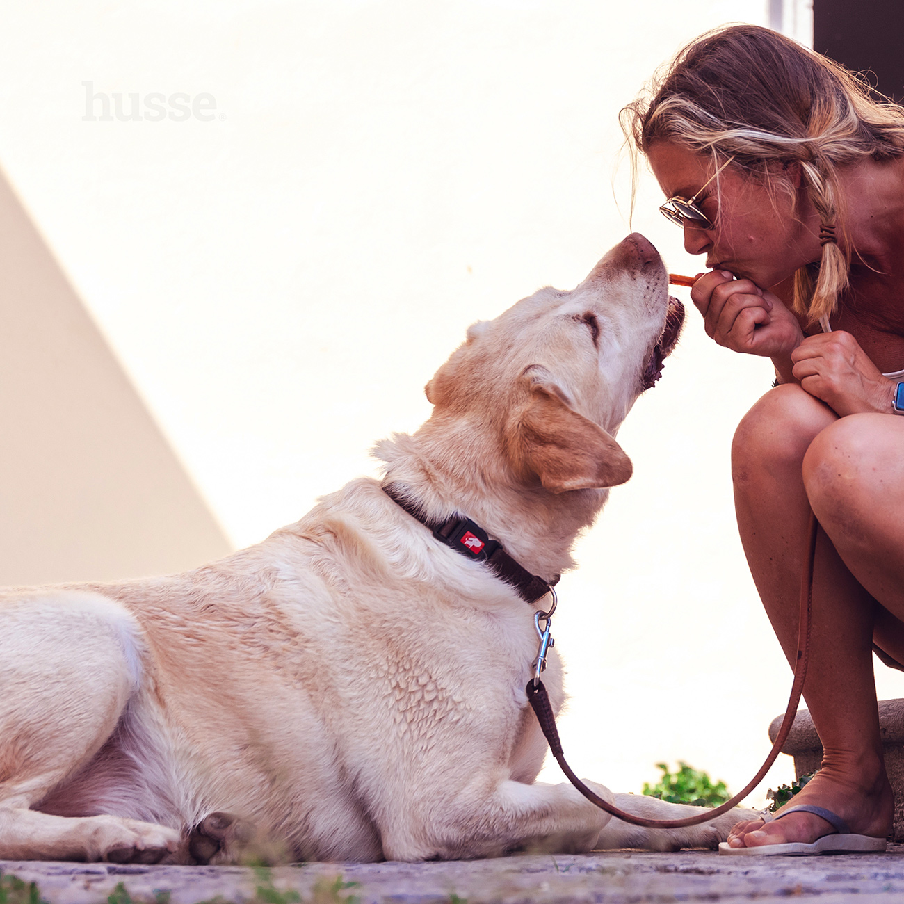 Friandises Soutien des articulations pour Chien | Kycklingfilé - 100g