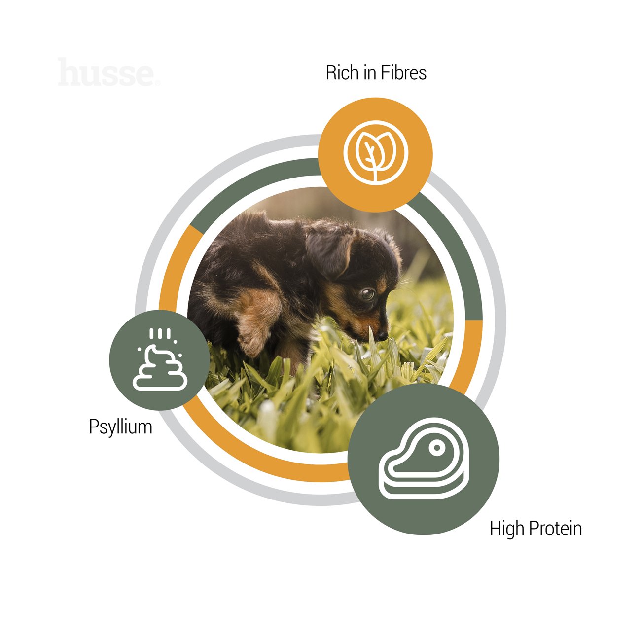 Croquettes pour Chiots Sans Gluten | Valp Plus - 7 kg