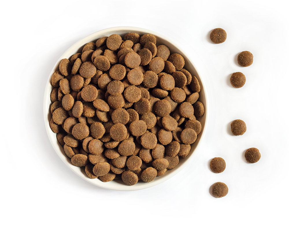 Les meilleures croquettes pour chiens et chats livrées gratuitement chez vous 