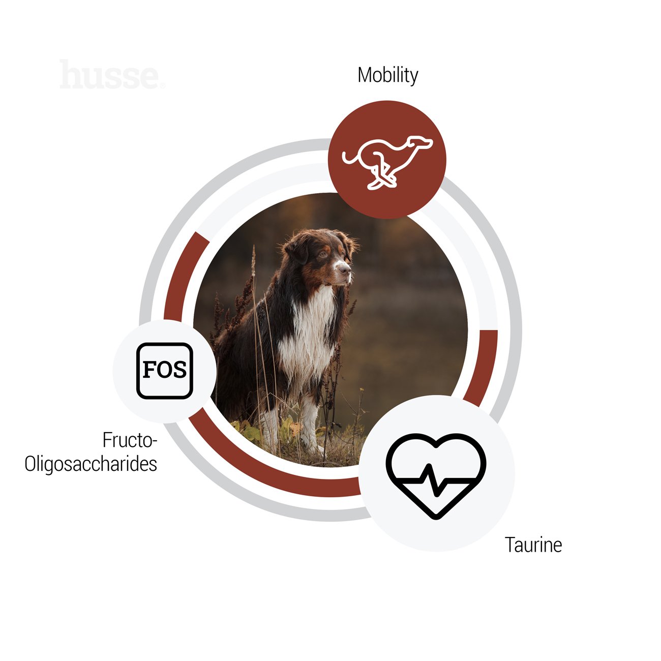 Croquettes Hypoallergéniques pour Chien de Grande Taille | Digest Giant - 12,5 kg