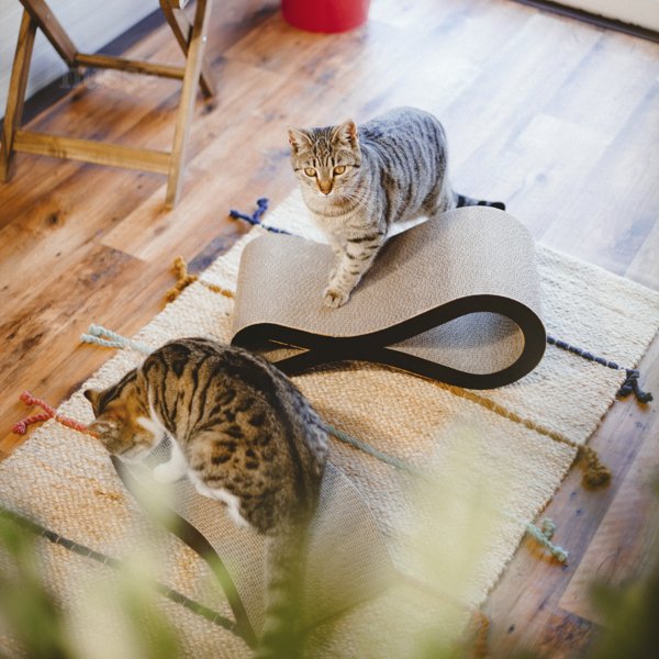 Griffoir pour Chats | Krusa