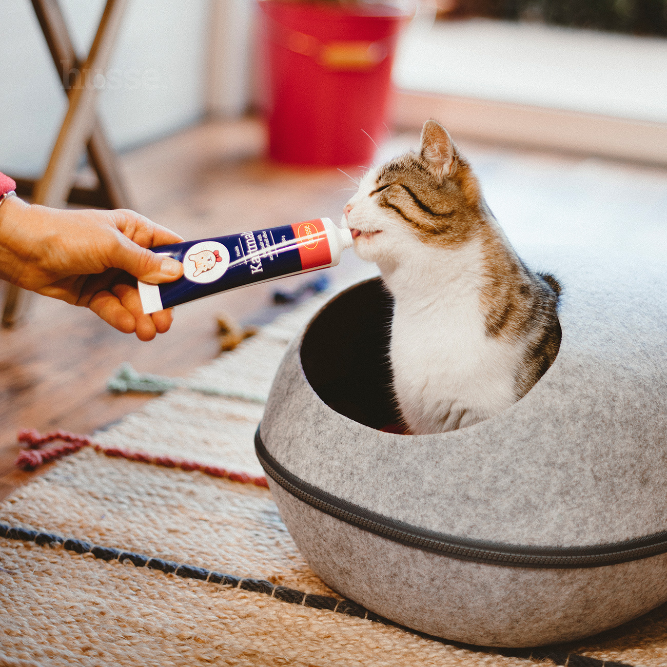 Anti-Boules de Poils pour Chats | Kattmalt