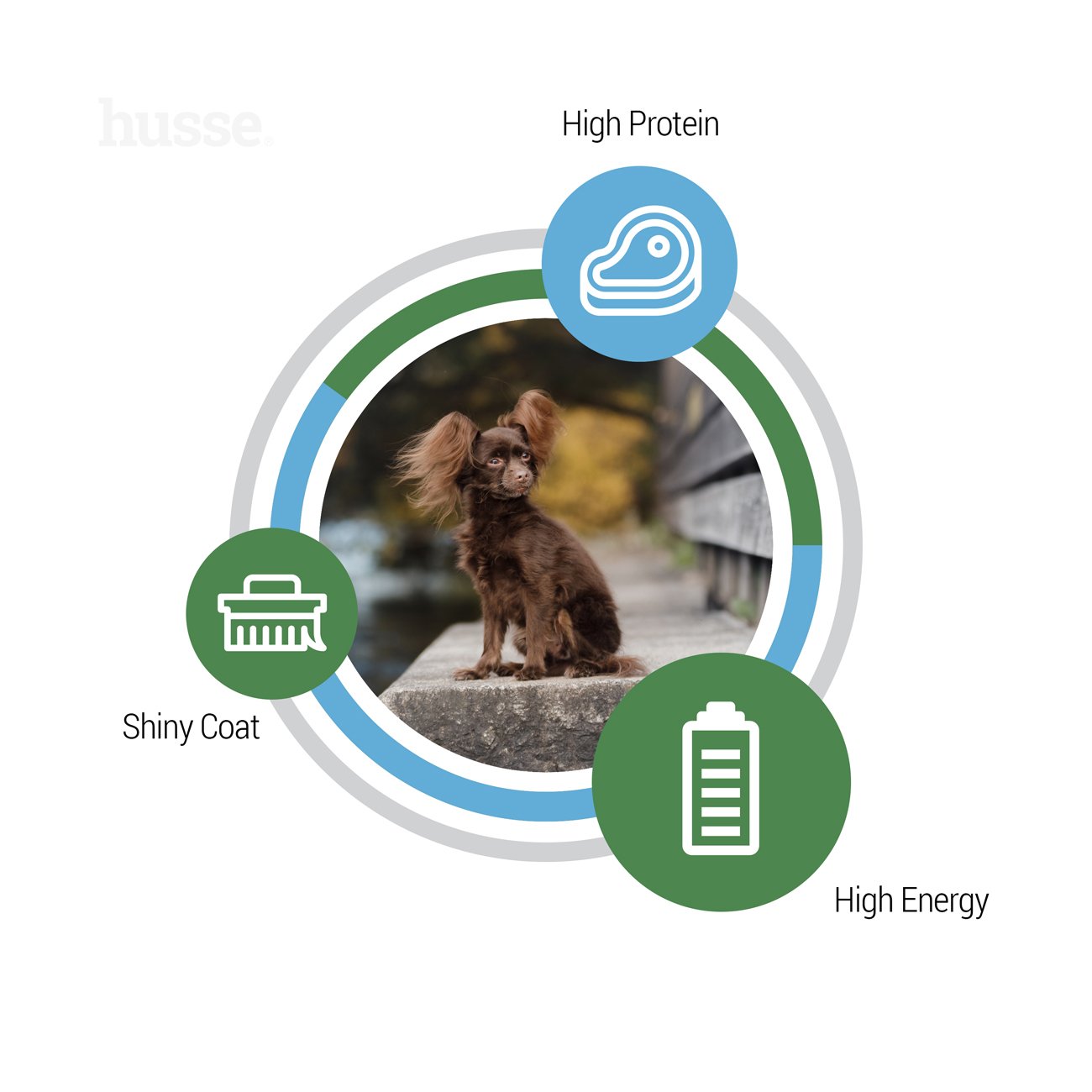 Croquettes pour Petits Chiens Actifs  |  Optimal Mini - 2 kg