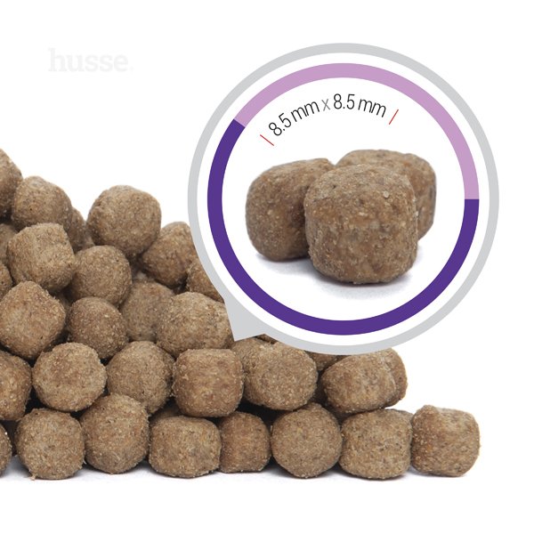 Croquettes pour Petits Chiens Stérilisés | Sterilised Mini - 2 kg
