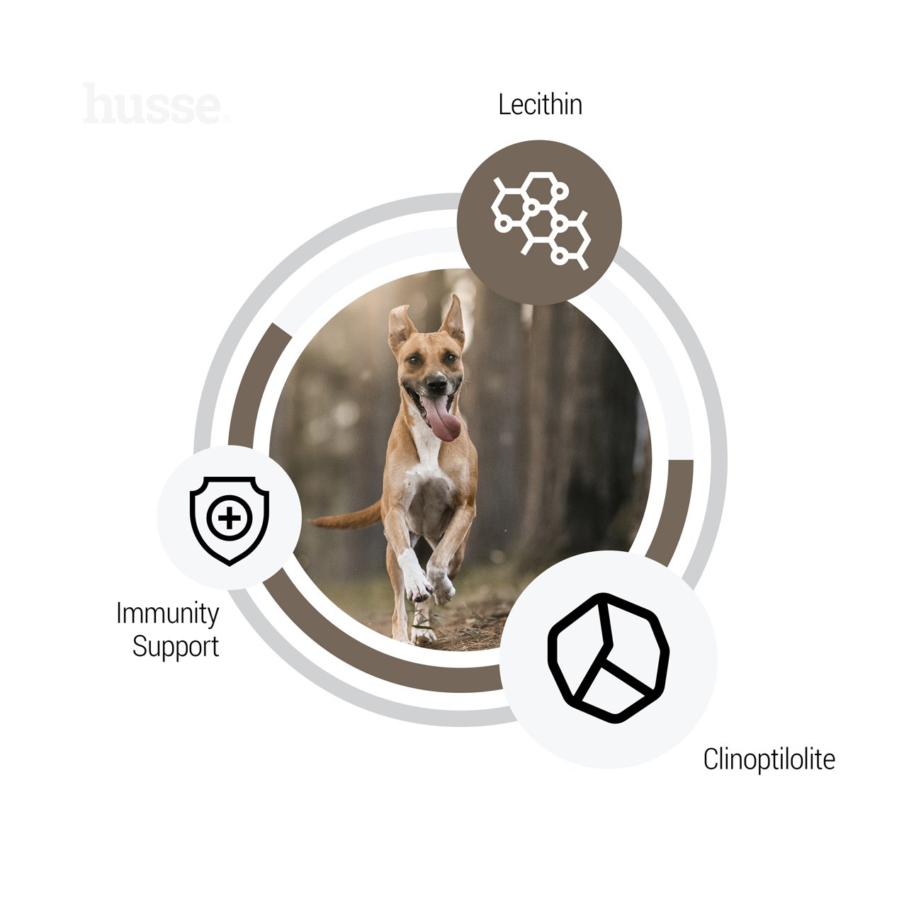 Croquettes Hypoallergéniques pour Chiens | Digest Sensitive - 2 kg