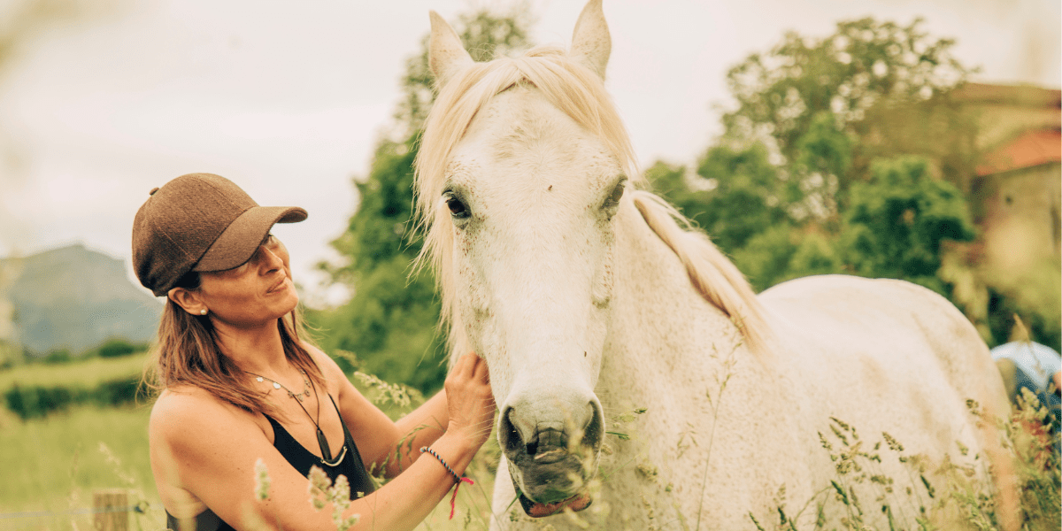 proteger-mon-cheval-en-ete