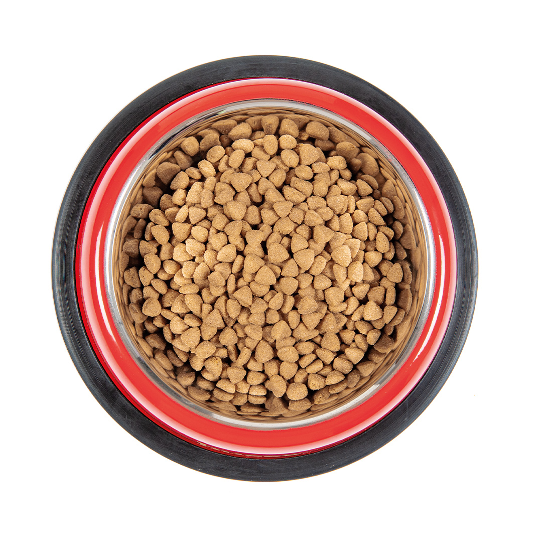 Gamelle de croquettes pour chat stérilisé ou castré au poulet Husse Sterilised Exclusive