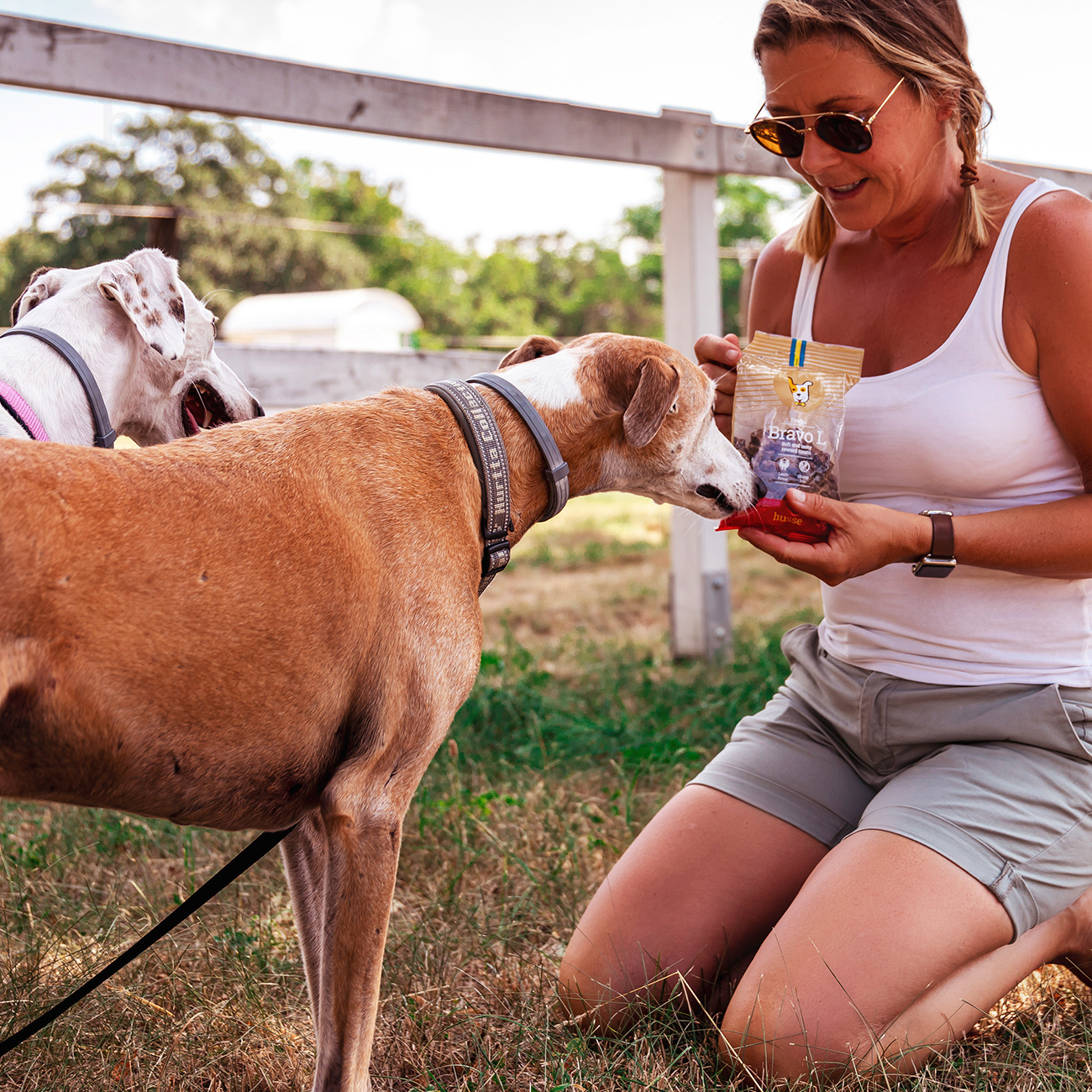 Friandises pour Chiens Sans Gluten | Bravo L - 150 g