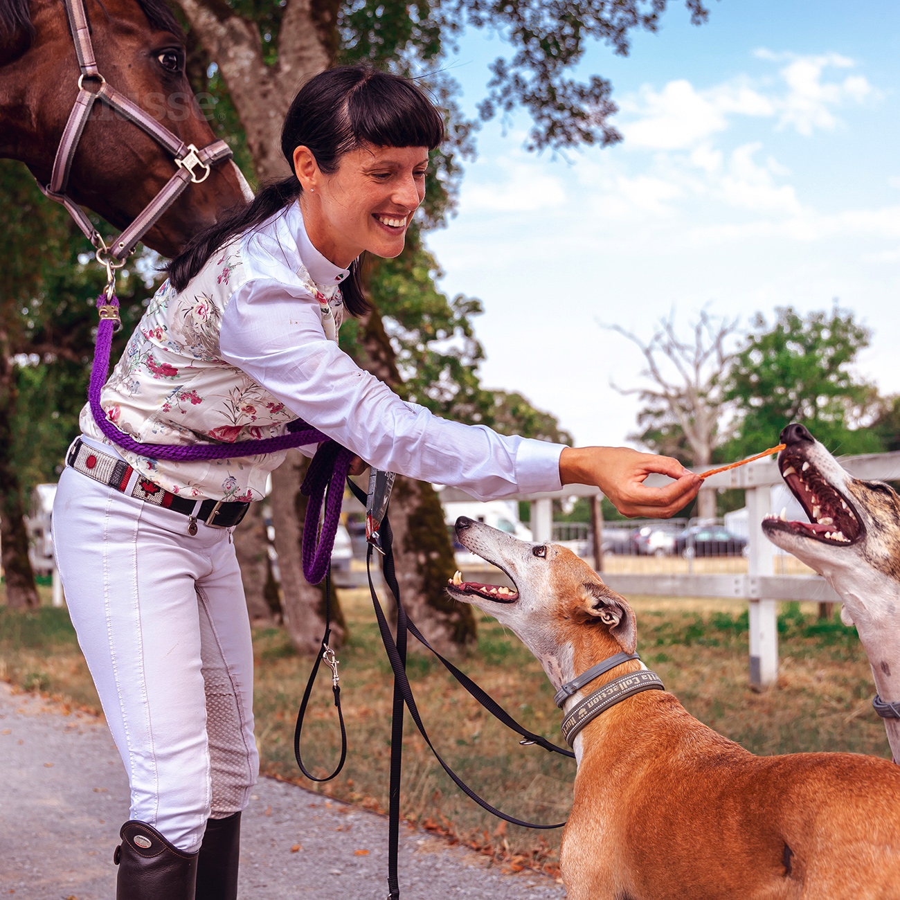 Friandises Soutien des articulations pour Chien | Kycklingfilé - 100g