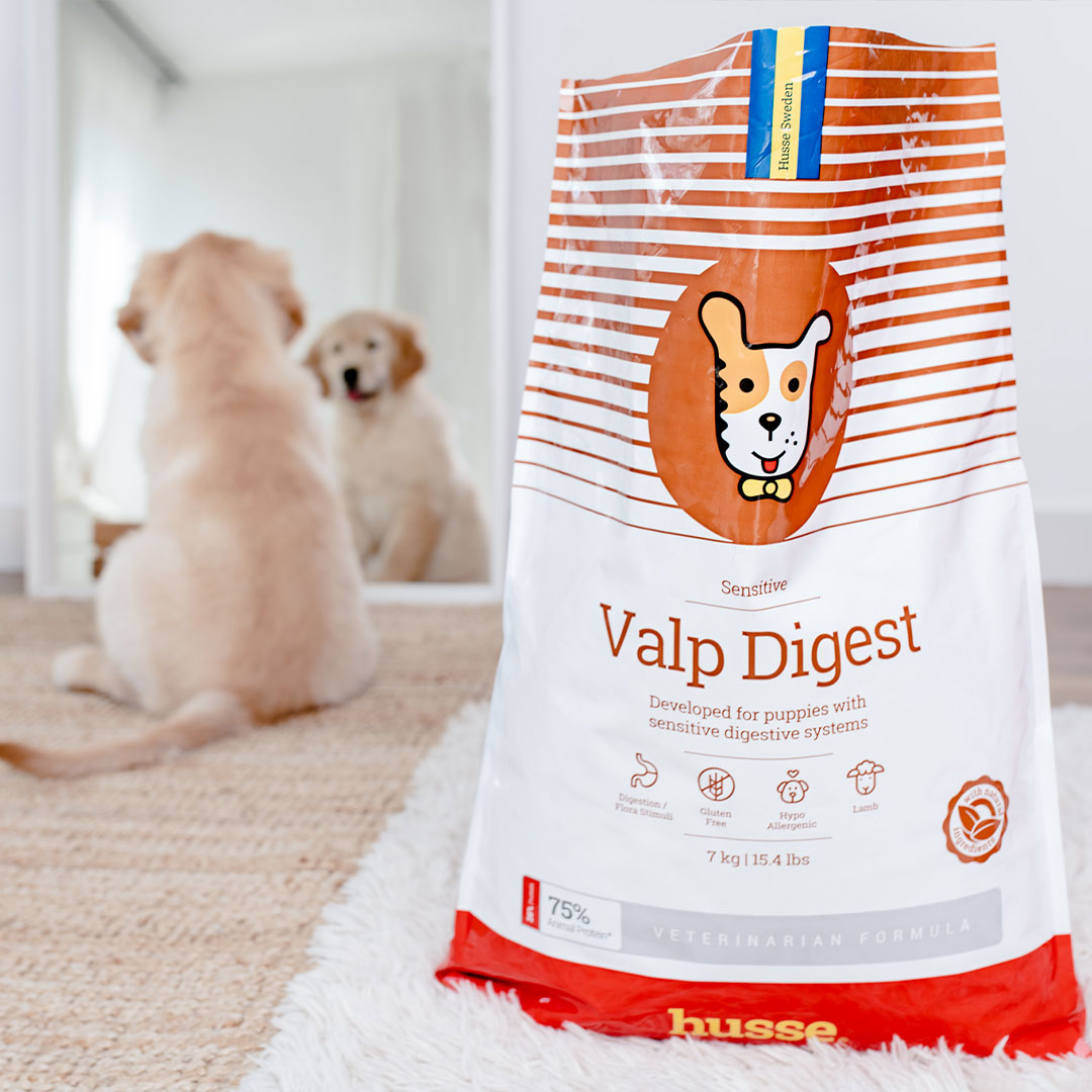 Croquettes Hypoallergéniques pour Chiots à Digestion Sensible | Valp Digest - 7 kg