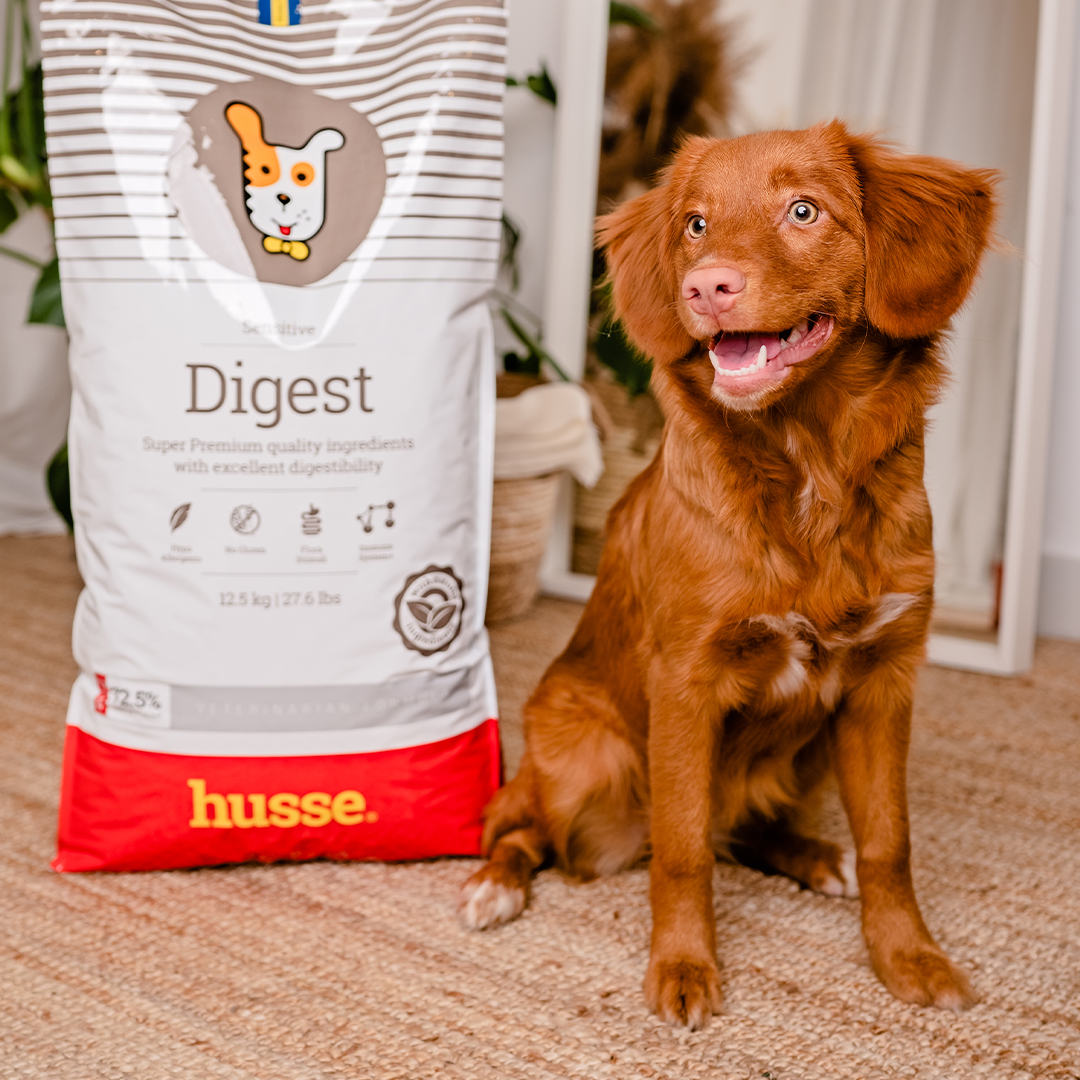 Croquettes Hypoallergéniques pour Chiens | Digest Sensitive - 2 kg