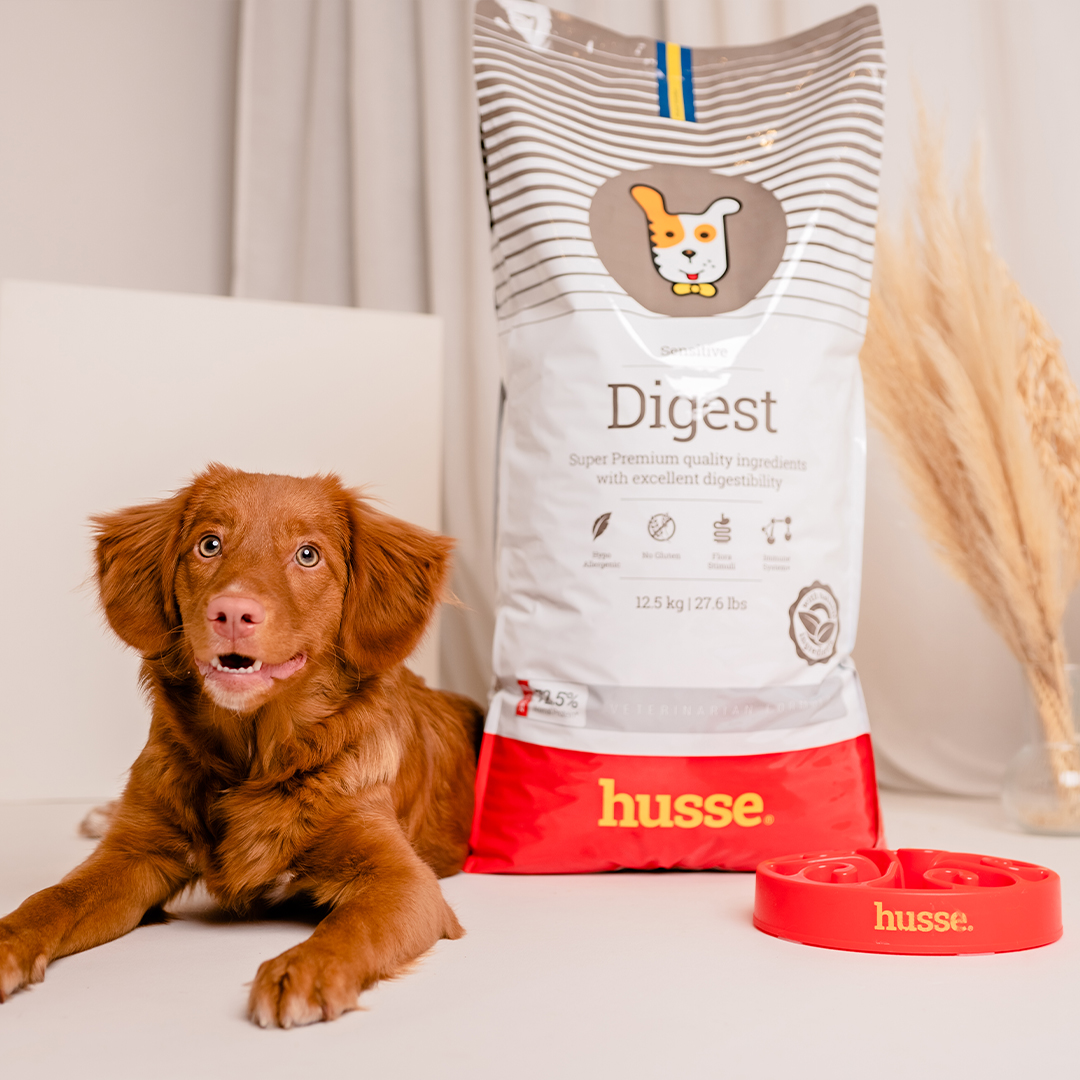 Croquettes Hypoallergéniques pour Chiens | Digest Sensitive - 2 kg