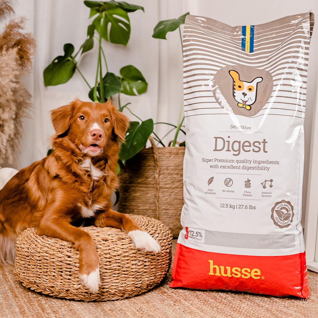 Croquettes Hypoallergéniques pour Chiens | Digest Sensitive - 2 kg