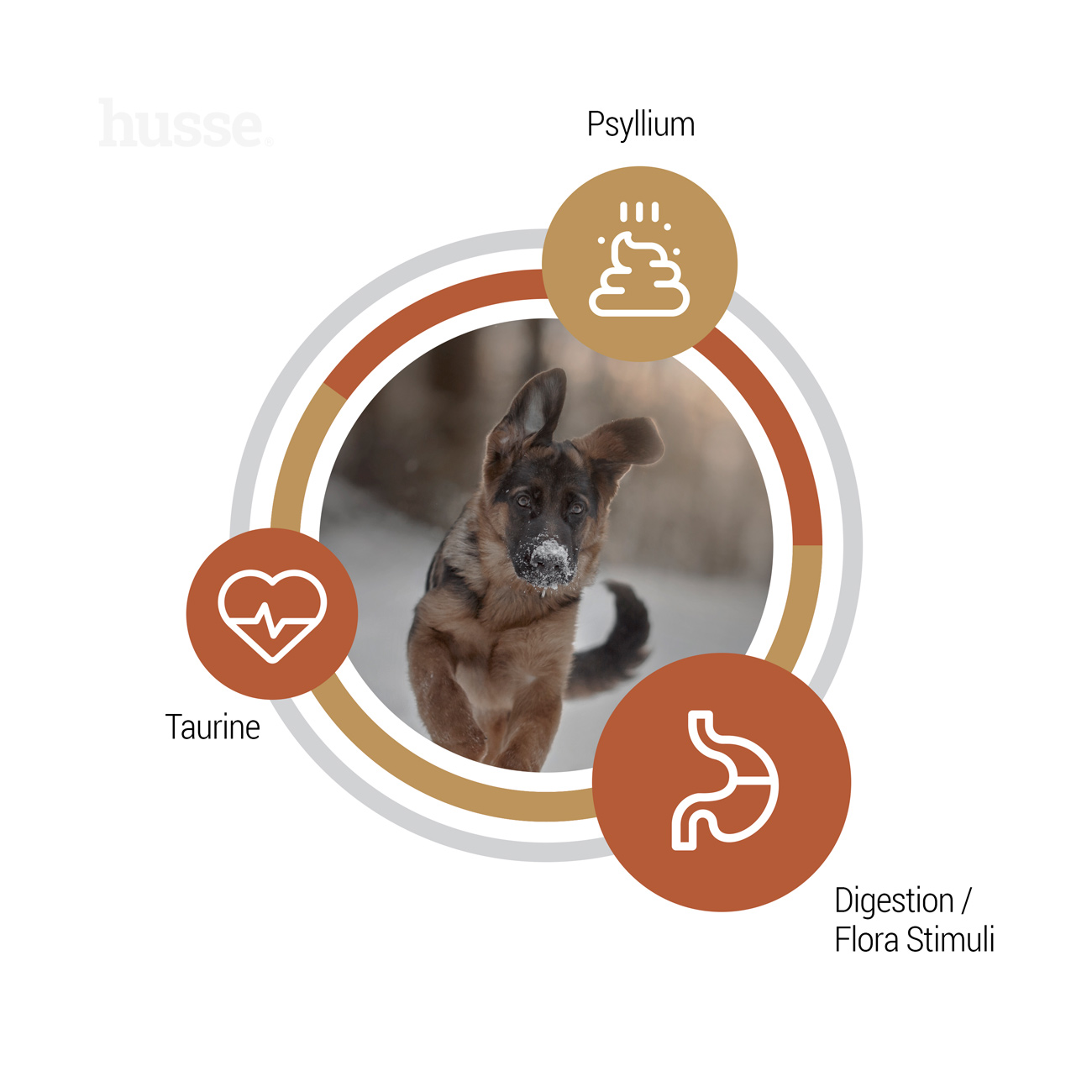 Croquettes pour Chiots Sans Céréales | Valp Farm - 12 kg