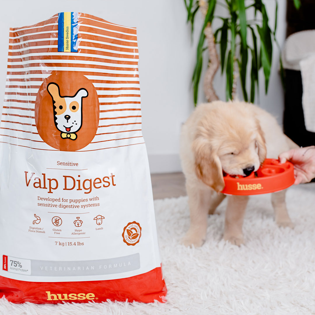 Croquettes Hypoallergéniques pour Chiots à Digestion Sensible | Valp Digest - 7 kg