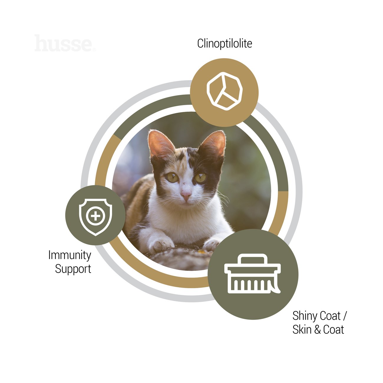 Composition et bienfaits des croquettes sans céréales pour chat à digestion sensible au poulet Husse Opus Lynx