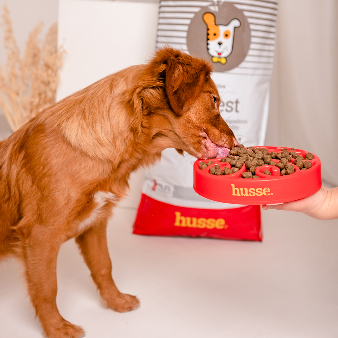 Croquettes Hypoallergéniques pour Chiens | Digest Sensitive - 2 kg