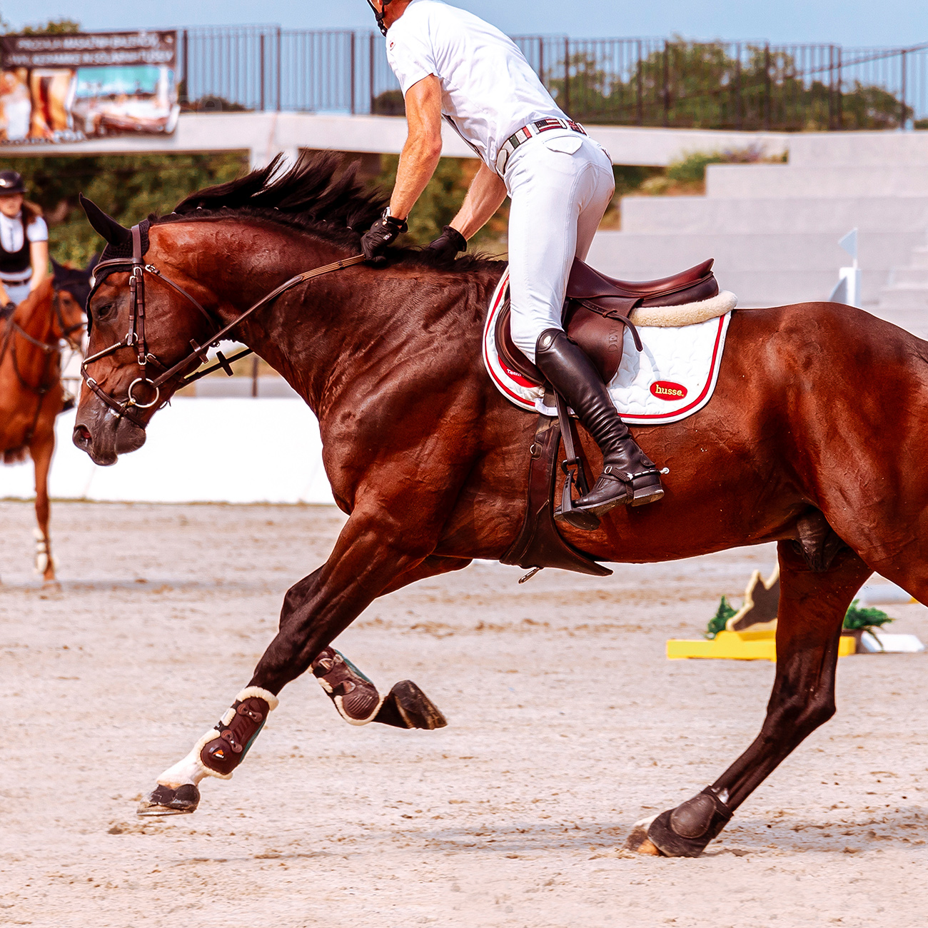 Tapis de selle élégant et confortable | Saddle pad