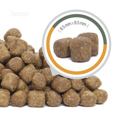 Croquettes pour Chiots Sans Gluten | Valp Plus - 7 kg