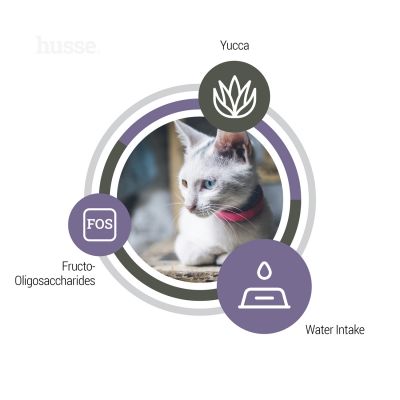 Composition et bienfaits des croquettes pour soutenir l'appareil urinaire du chat au poulet Husse Urinary