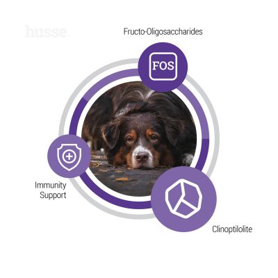 Croquettes pour Chiens Agés | Senior - 12 kg