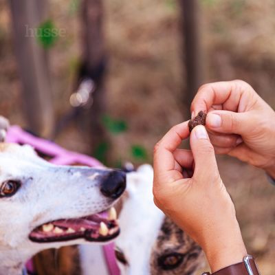 Friandises pour Chiens Sans Gluten | Bravo L - 150 g