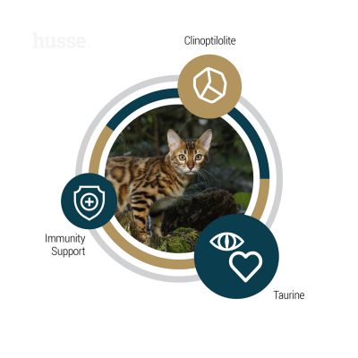 Composition et bienfaits des croquettes sans céréales pour chat âgé au poulet Husse Lynx Senior