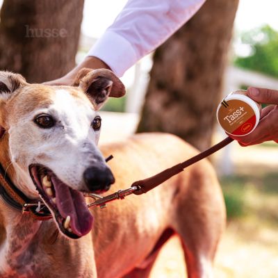 Baume pour coussinets et truffe | Tass Plus - 40 g