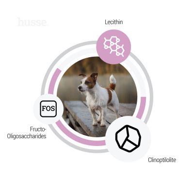 Croquettes Hypoallergéniques pour Petits Chiens | Ocean Care Mini - 2 kg