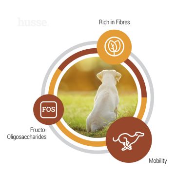 Croquettes pour Chiots de Grande Taille | Valp Maxi - 12 kg