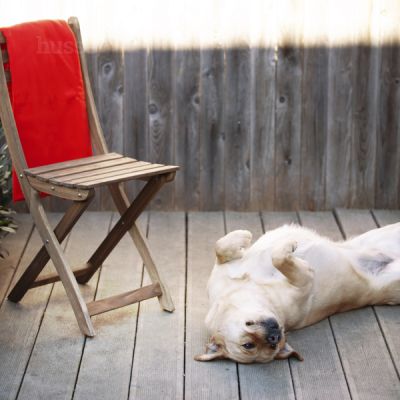 Plaid Polaire pour Chien et Chat | Blanket XL