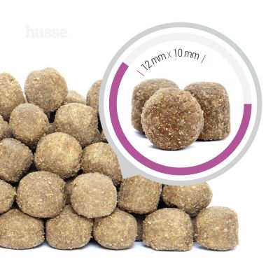 Croquettes Hypoallergéniques pour Chiens Sensibles | Ocean Care Sensitive - 12.5 kg