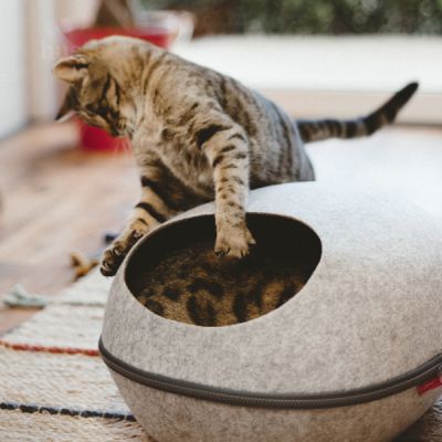Maison cocon en feutre pour Chats | Krypin