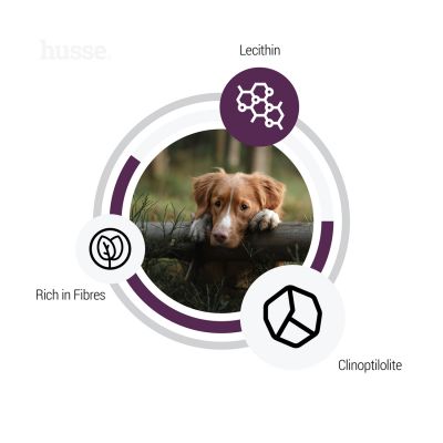 Croquettes Hypoallergéniques pour Chiens en Surpoids | Light Sensitive - 12.5 kg