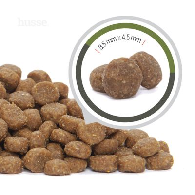 Croquettes pour Chats actifs et/ou à Digestion Sensible | Lyster Care Exclusive - 2kg