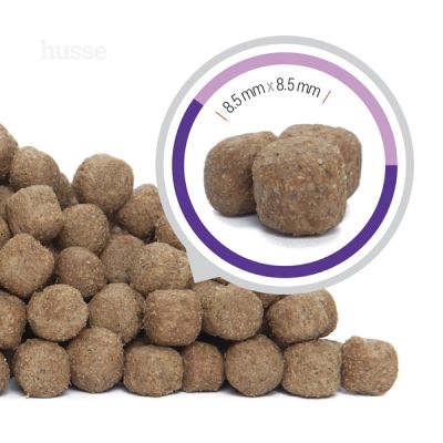 Croquettes pour Petits Chiens Stérilisés | Sterilised Mini - 2 kg
