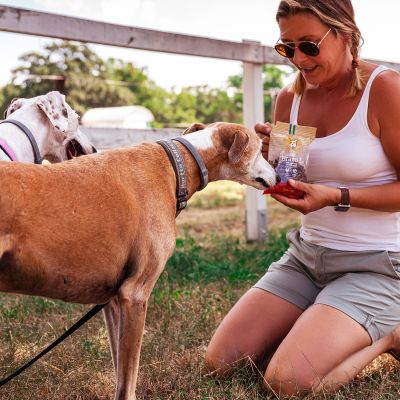 Friandises pour Chiens Sans Gluten | Bravo L - 150 g