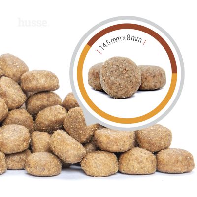 Croquettes pour Chiots de Grande Taille | Valp Maxi - 12 kg