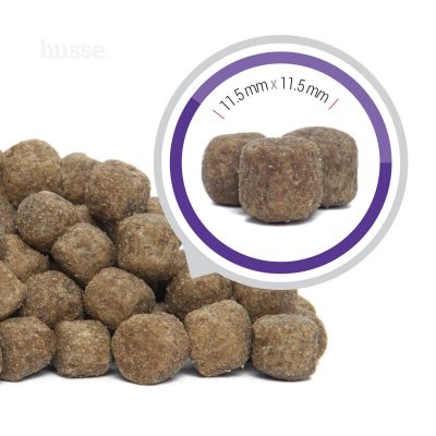 Croquettes pour Chiens Agés | Senior - 12 kg