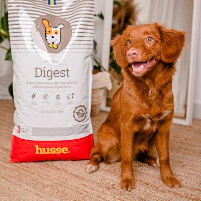 Croquettes Hypoallergéniques pour Chiens | Digest Sensitive - 2 kg
