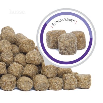 Croquettes pour Petits Chiens Agés | Senior Mini - 7 kg