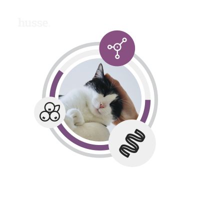 Croquettes sans céréales à base de poulet frais pour chats stérilisés | Fresh Sterilised 7kg