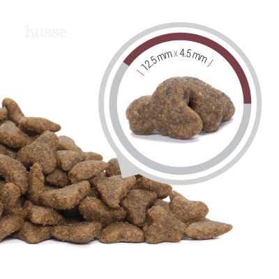 Croquettes pour Chats Adultes | Kroketter Kyckling - 2 kg