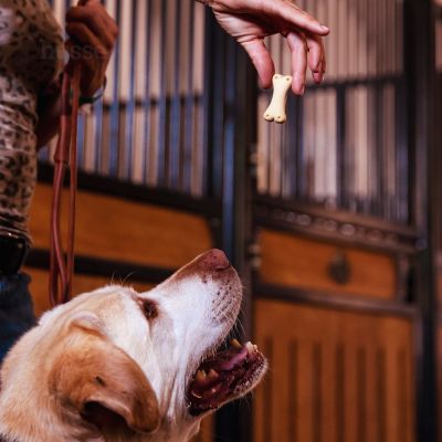 Friandises Croquantes pour Chiens en forme d'Os | Kex L -400 g