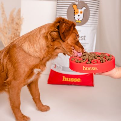 Croquettes Hypoallergéniques pour Chiens | Digest Sensitive - 2 kg