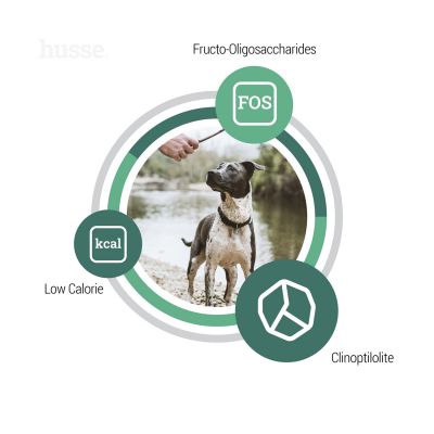 Croquettes pour Chiens à Activité Normale | Prima Plus - 2 kg