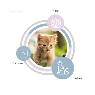 Composition et bienfaits des croquettes pour chaton au poulet Husse Kattunge