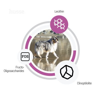 Croquettes Hypoallergéniques pour Chiens Sensibles | Ocean Care Sensitive - 12.5 kg